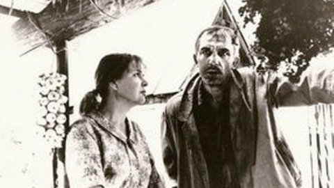 Серая мышь Серая мышь
