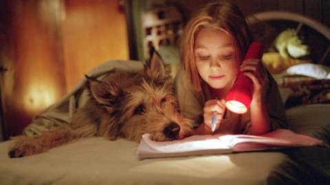 Благодаря Винн-Дикси 