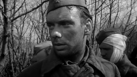 Летят журавли Летят журавли