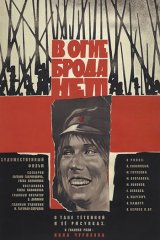 В огне брода нет В огне брода нет