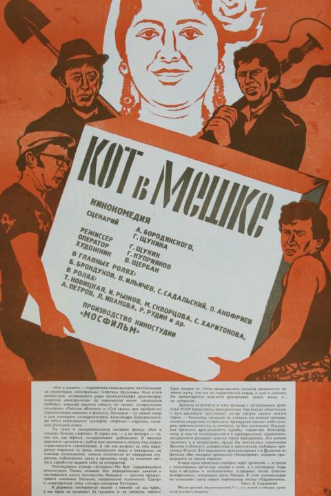 Кот в мешке Кот в мешке