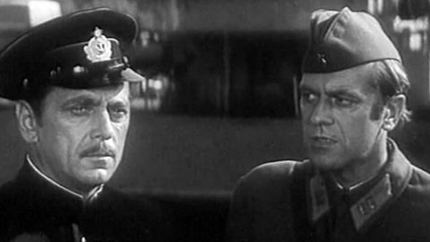 Следую своим курсом