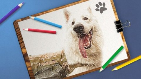 Музей предложил нарисовать портрет фронтовой собаки