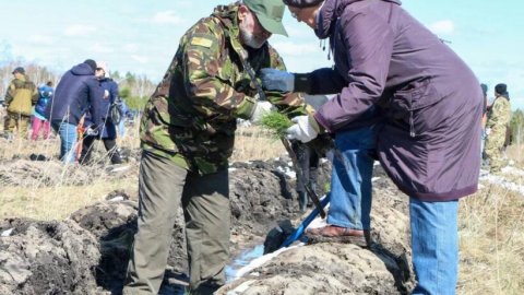 Живой памятник появится в честь Победы